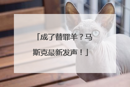 成了替罪羊？马斯克最新发声！