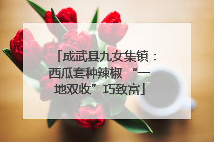成武县九女集镇：西瓜套种辣椒 “一地双收”巧致富