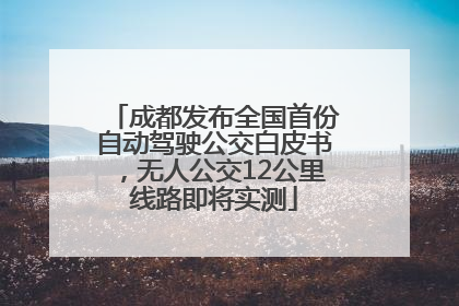 成都发布全国首份自动驾驶公交白皮书，无人公交12公里线路即将实测