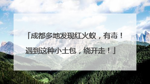 成都多地发现红火蚁，有毒！遇到这种小土包，绕开走！