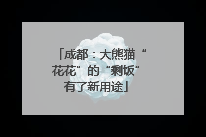 成都：大熊猫“花花”的“剩饭”有了新用途