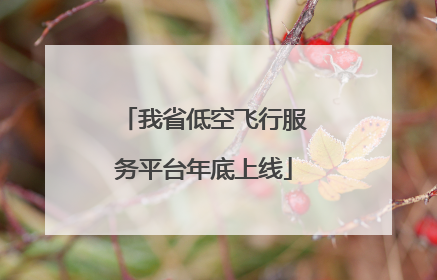 我省低空飞行服务平台年底上线