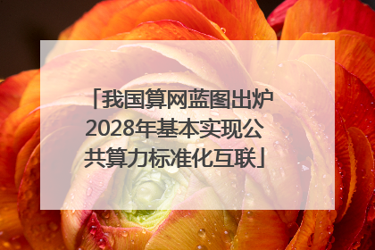 我国算网蓝图出炉 2028年基本实现公共算力标准化互联
