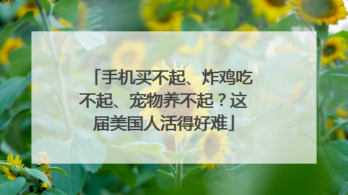 手机买不起、炸鸡吃不起、宠物养不起？这届美国人活得好难