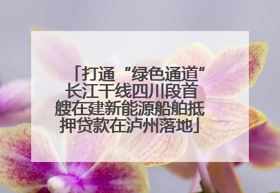 打通“绿色通道” 长江干线四川段首艘在建新能源船舶抵押贷款在泸州落地