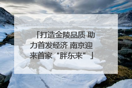 打造金陵品质 助力首发经济 南京迎来首家“胖东来”