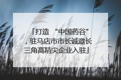 打造 “中国药谷”，驻马店市市长诚邀长三角高精尖企业入驻