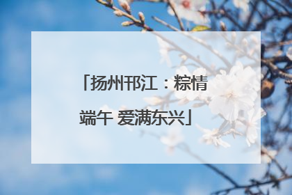 扬州邗江：粽情端午 爱满东兴