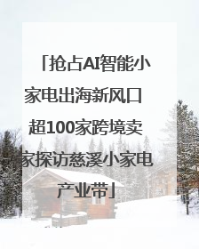 抢占AI智能小家电出海新风口 超100家跨境卖家探访慈溪小家电产业带