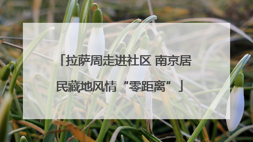 拉萨周走进社区 南京居民藏地风情“零距离”