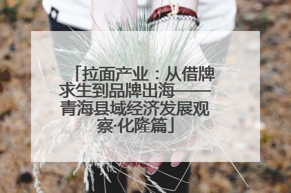 拉面产业：从借牌求生到品牌出海——青海县域经济发展观察·化隆篇