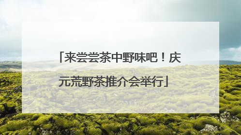 来尝尝茶中野味吧！庆元荒野茶推介会举行