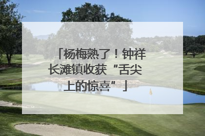 杨梅熟了！钟祥长滩镇收获“舌尖上的惊喜”