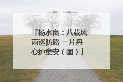 杨水良：八载风雨巡防路 一片丹心护童安（图）