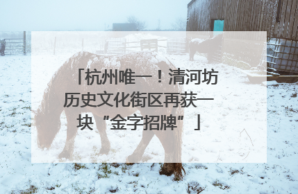 杭州唯一！清河坊历史文化街区再获一块“金字招牌”