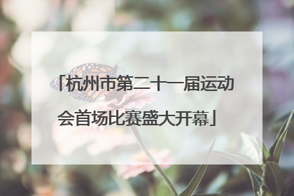 杭州市第二十一届运动会首场比赛盛大开幕