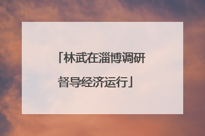 林武在淄博调研督导经济运行