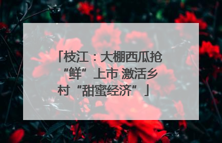 枝江：大棚西瓜抢“鲜”上市 激活乡村“甜蜜经济”