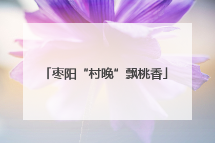 枣阳“村晚”飘桃香