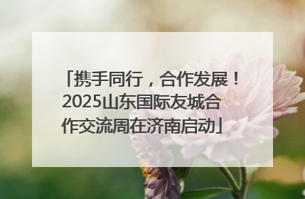 携手同行，合作发展！2025山东国际友城合作交流周在济南启动
