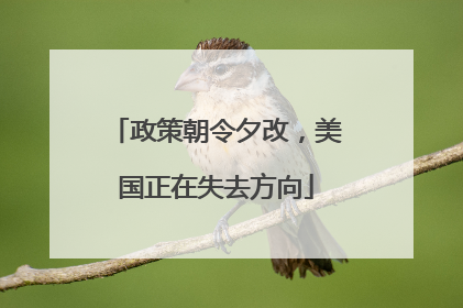 政策朝令夕改，美国正在失去方向