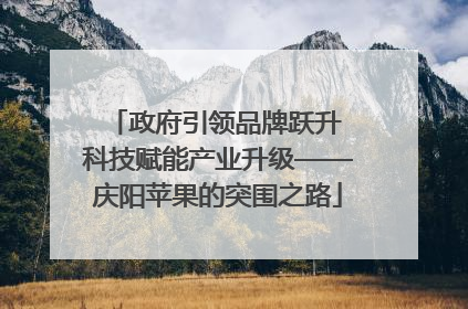 政府引领品牌跃升 科技赋能产业升级——庆阳苹果的突围之路