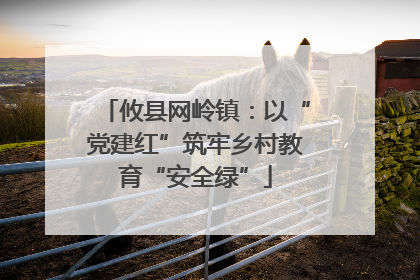 攸县网岭镇：以“党建红”筑牢乡村教育“安全绿”