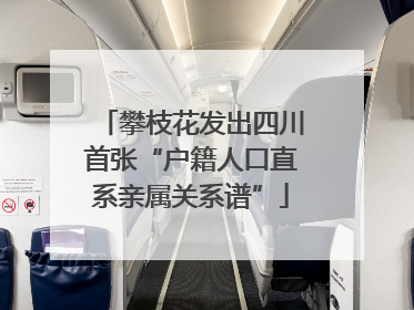 攀枝花发出四川首张“户籍人口直系亲属关系谱”