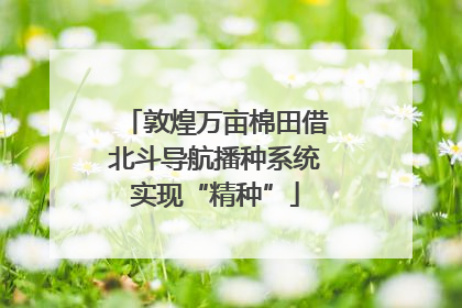 敦煌万亩棉田借北斗导航播种系统实现“精种”