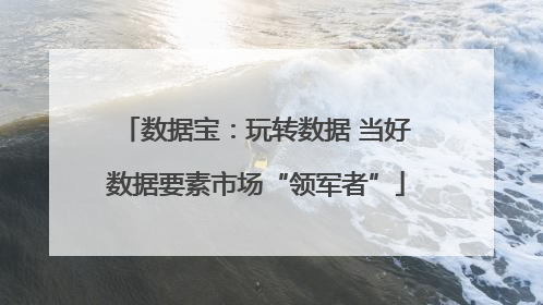 数据宝：玩转数据 当好数据要素市场“领军者”