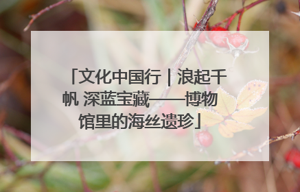 文化中国行｜浪起千帆 深蓝宝藏——博物馆里的海丝遗珍