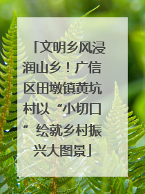 文明乡风浸润山乡！广信区田墩镇黄坑村以“小切口”绘就乡村振兴大图景