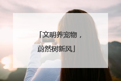 文明养宠物，蔚然树新风