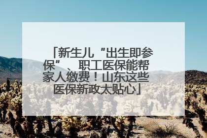 新生儿“出生即参保”、职工医保能帮家人缴费！山东这些医保新政太贴心