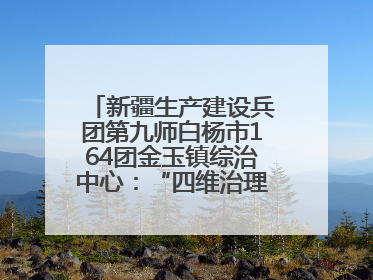 新疆生产建设兵团第九师白杨市164团金玉镇综治中心：“四维治理”淬炼边疆“枫桥样本”