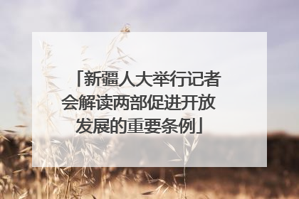 新疆人大举行记者会解读两部促进开放发展的重要条例