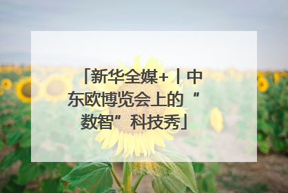 新华全媒+丨中东欧博览会上的“数智”科技秀