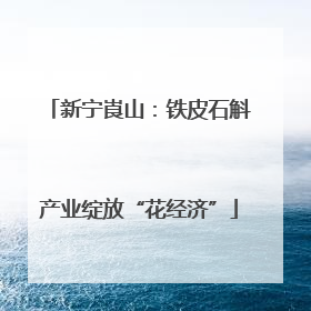 新宁崀山：铁皮石斛产业绽放“花经济”