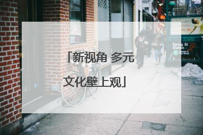 新视角 多元文化壁上观