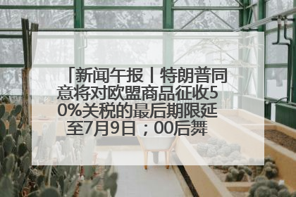 新闻午报丨特朗普同意将对欧盟商品征收50%关税的最后期限延至7月9日；00后舞蹈老师“花式”推介家乡岳阳>>