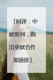 时评：中欧班列，跑出亚欧合作加速度