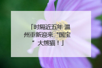 时隔近五年 温州重新迎来“国宝”大熊猫！