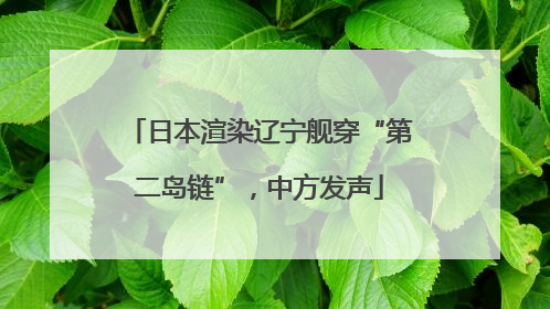 日本渲染辽宁舰穿“第二岛链”，中方发声