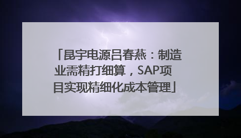 昆宇电源吕春燕：制造业需精打细算，SAP项目实现精细化成本管理