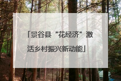 景谷县“花经济”激活乡村振兴新动能