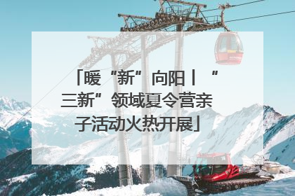 暖“新”向阳丨“三新”领域夏令营亲子活动火热开展