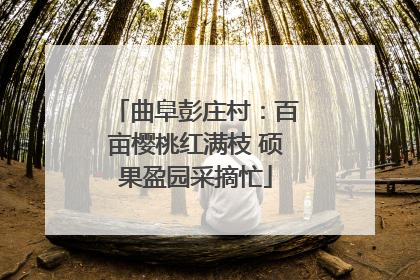 曲阜彭庄村：百亩樱桃红满枝 硕果盈园采摘忙
