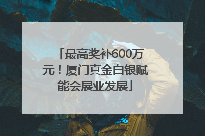 最高奖补600万元！厦门真金白银赋能会展业发展