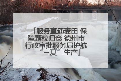 服务直通麦田 保障颗粒归仓 德州市行政审批服务局护航“三夏”生产
