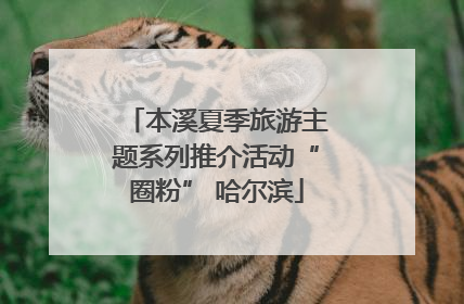 本溪夏季旅游主题系列推介活动“圈粉” 哈尔滨